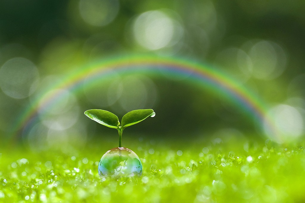 弊社従業員の新型コロナウイルスのワクチン接種状況